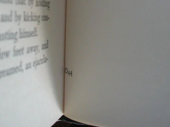 044 is printed on the last page of text