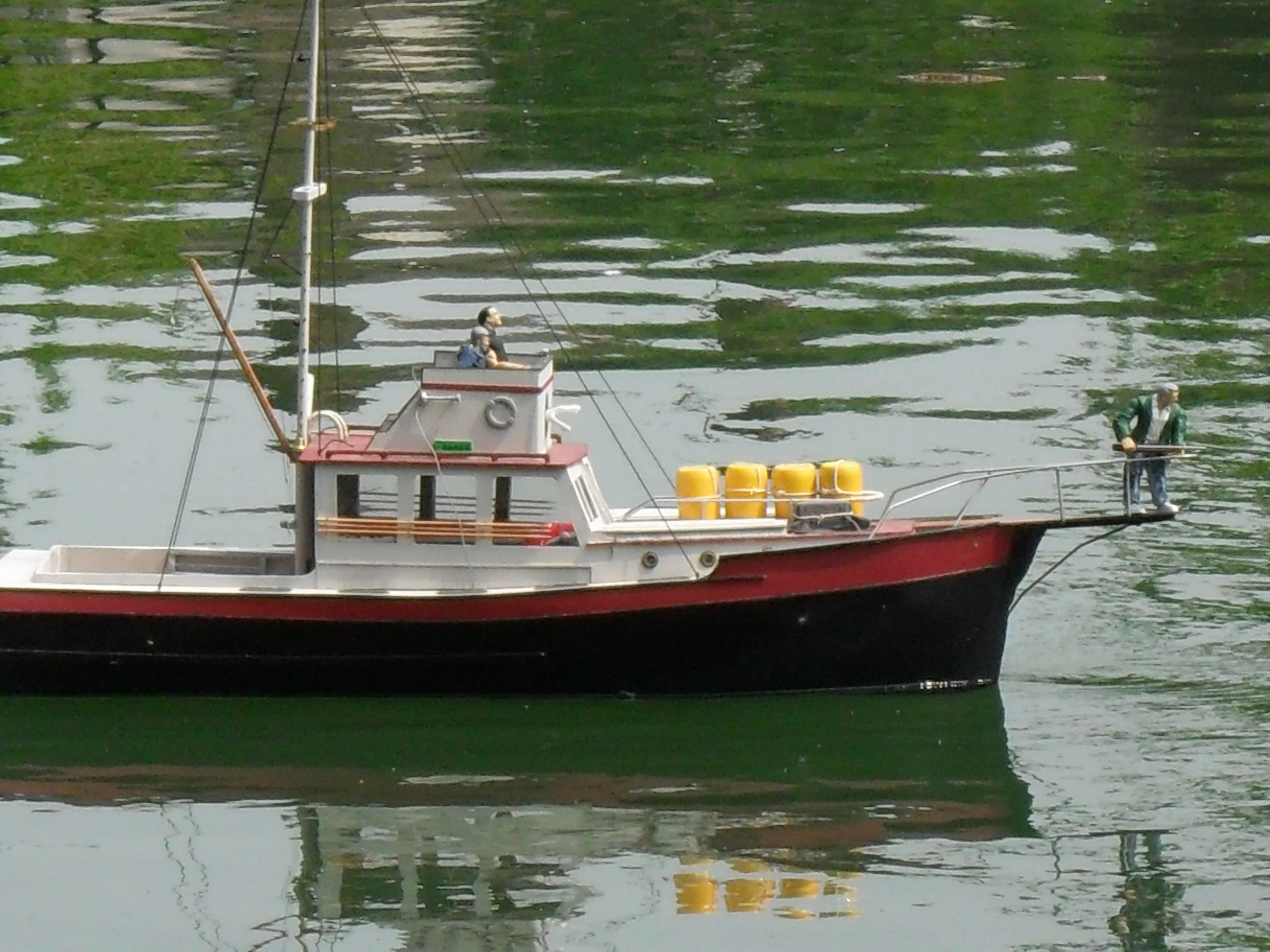 orca 5.jpg