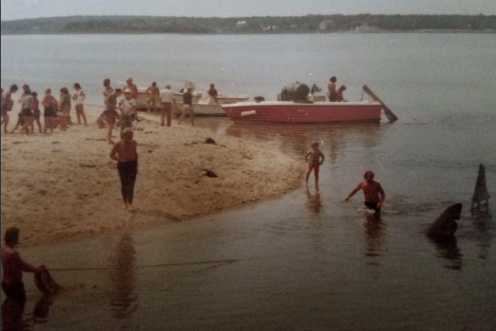 Courtesy of Billy Reagan, owner of Attleboro House in Martha’s Vineyard