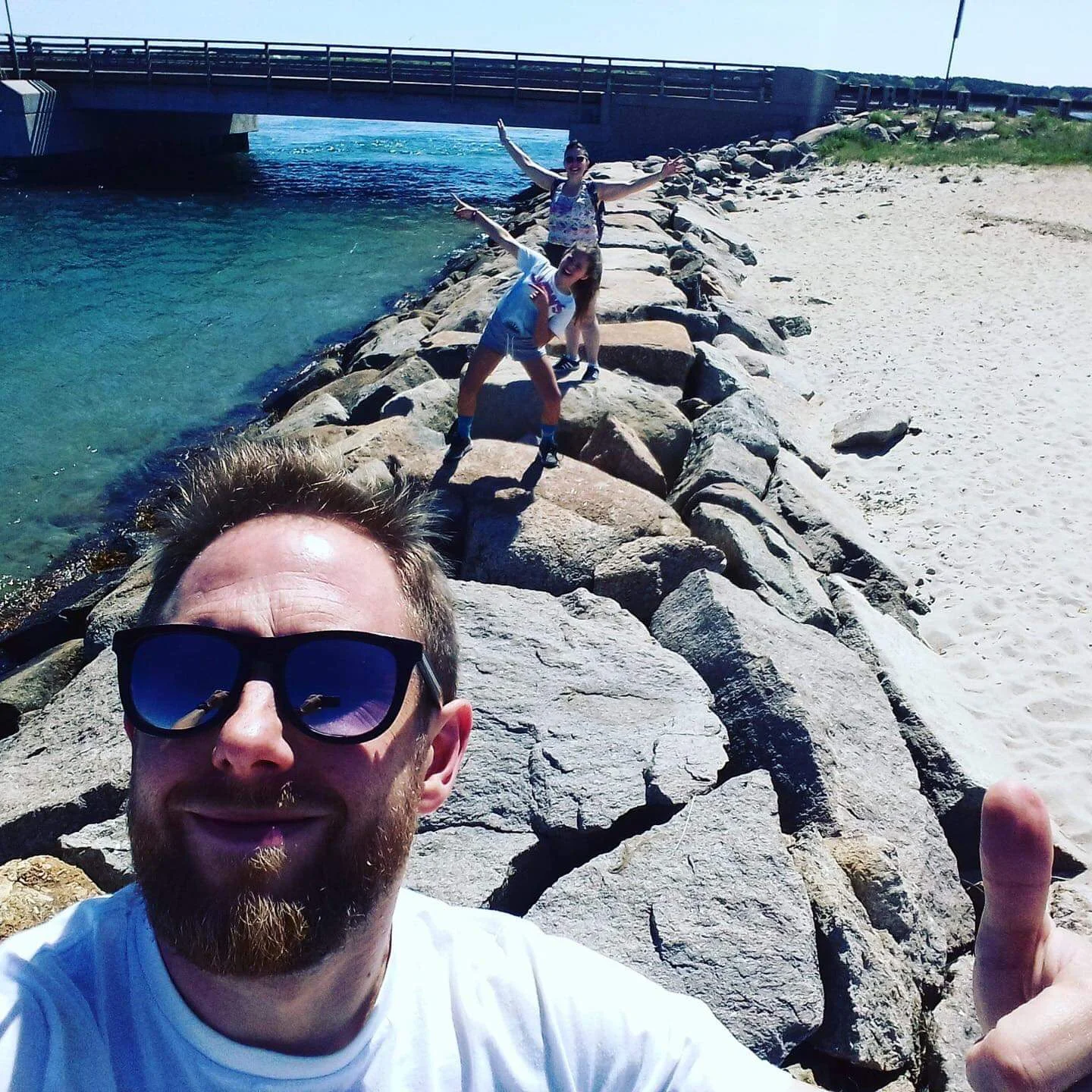 Jaws: from the VCR to the Vineyard