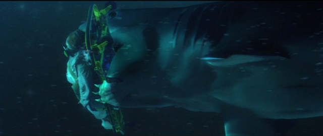 Is this the craziest shark attack ever?