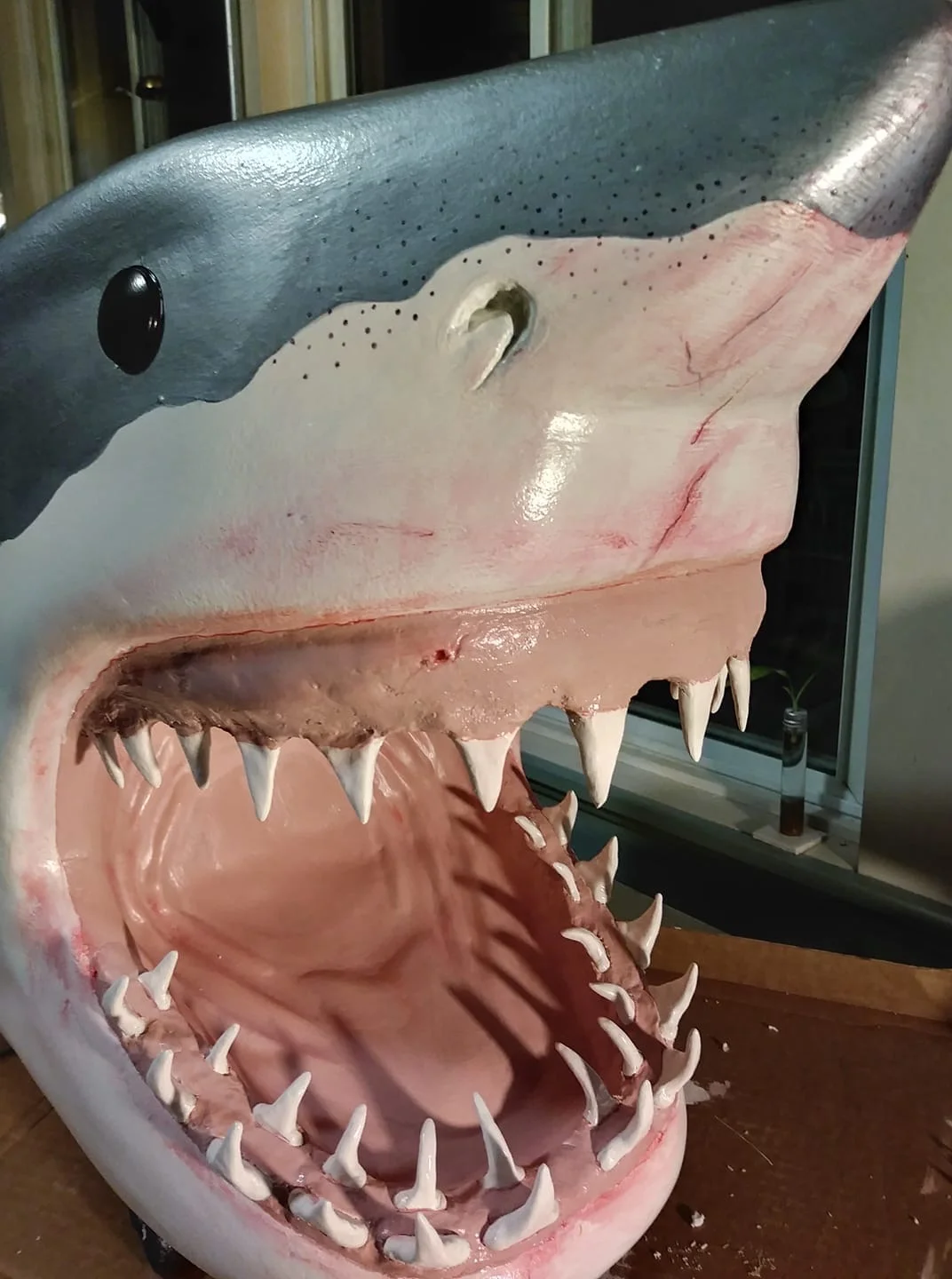 How To Build A Shark