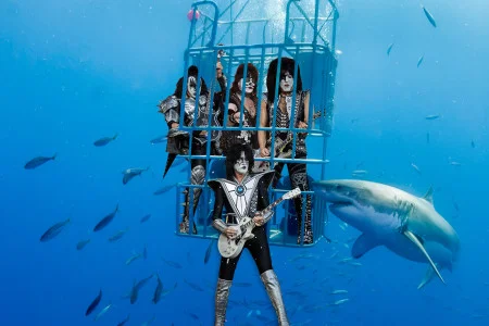 KISS To Perform Concert For Great White Sharks