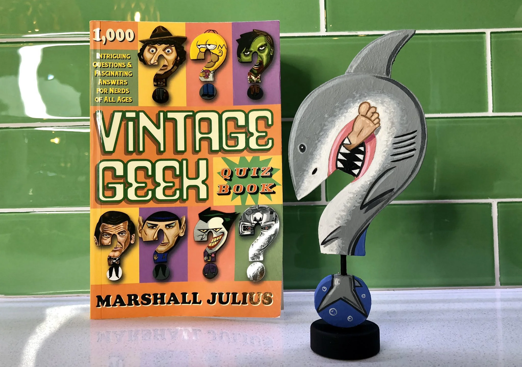 Vintage Geek - This Was No Book Accident!