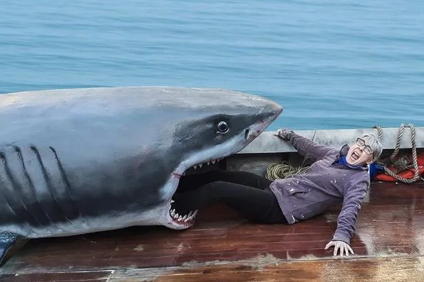 This Photo Opportunity, Swallow You Whole