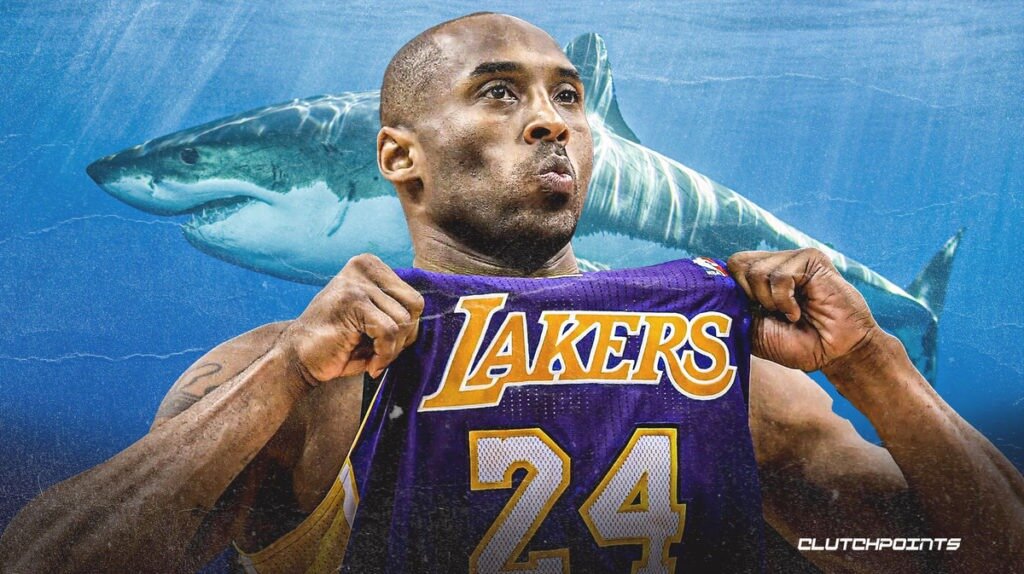 Great White Shark Named After Kobe Bryant