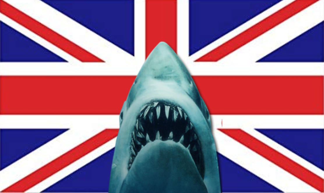 News Of First Ever UK Shark Thriller Surfaces