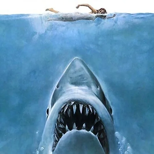 Deconstructing Jaws: A Screenwriter's Reflections