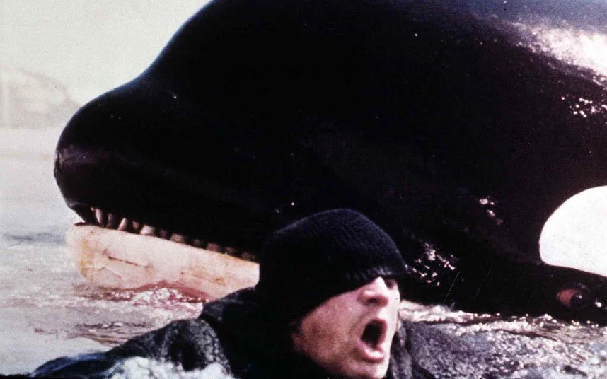 Orca To Surface On Blu Ray