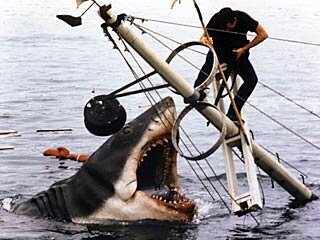 Meeting Jaws in Lockdown