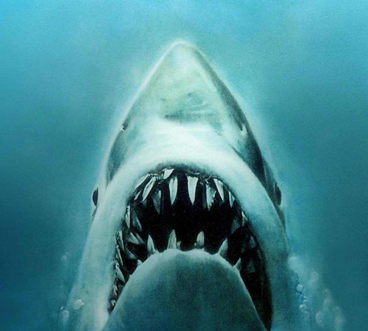 The Jaws Poster Is Missing
