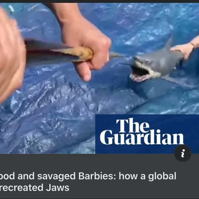 Jaws WeMake surfaces in The Guardian