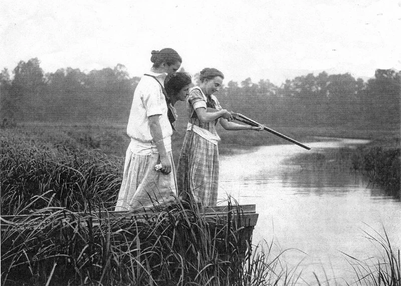 The First Summer of the Shark