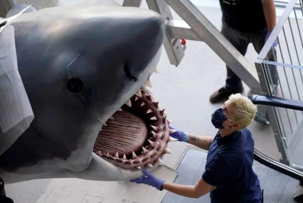 Bruce The Shark From Jaws Finds New Home At The Academy Museum of Motion Pictures  