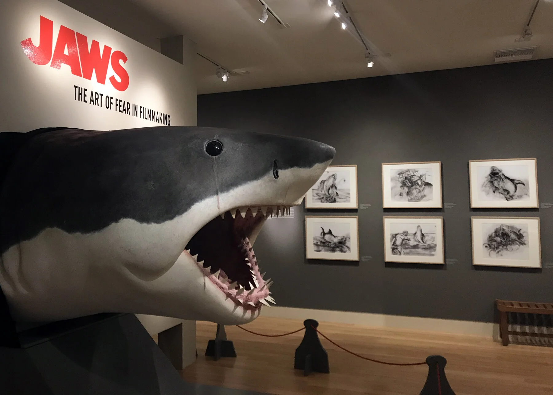 Academy Museum Isn't The First Time Jaws Has Made An Exhibition Of Itself