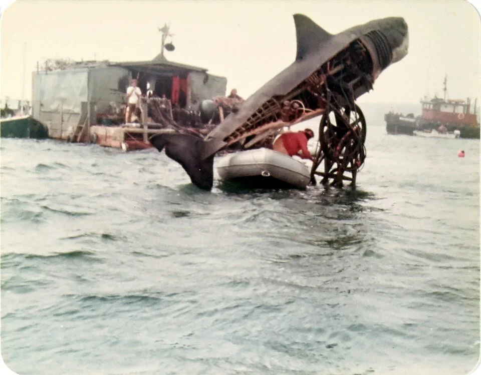 Never Before Seen Jaws Photos Head To Auction