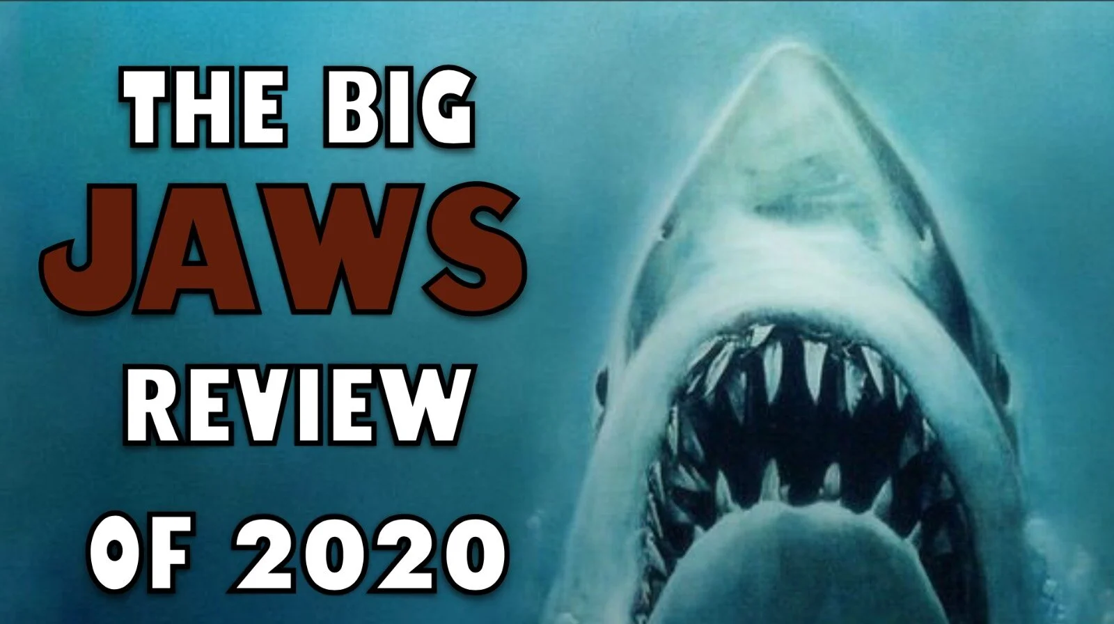 THE BIG JAWS REVIEW 2020