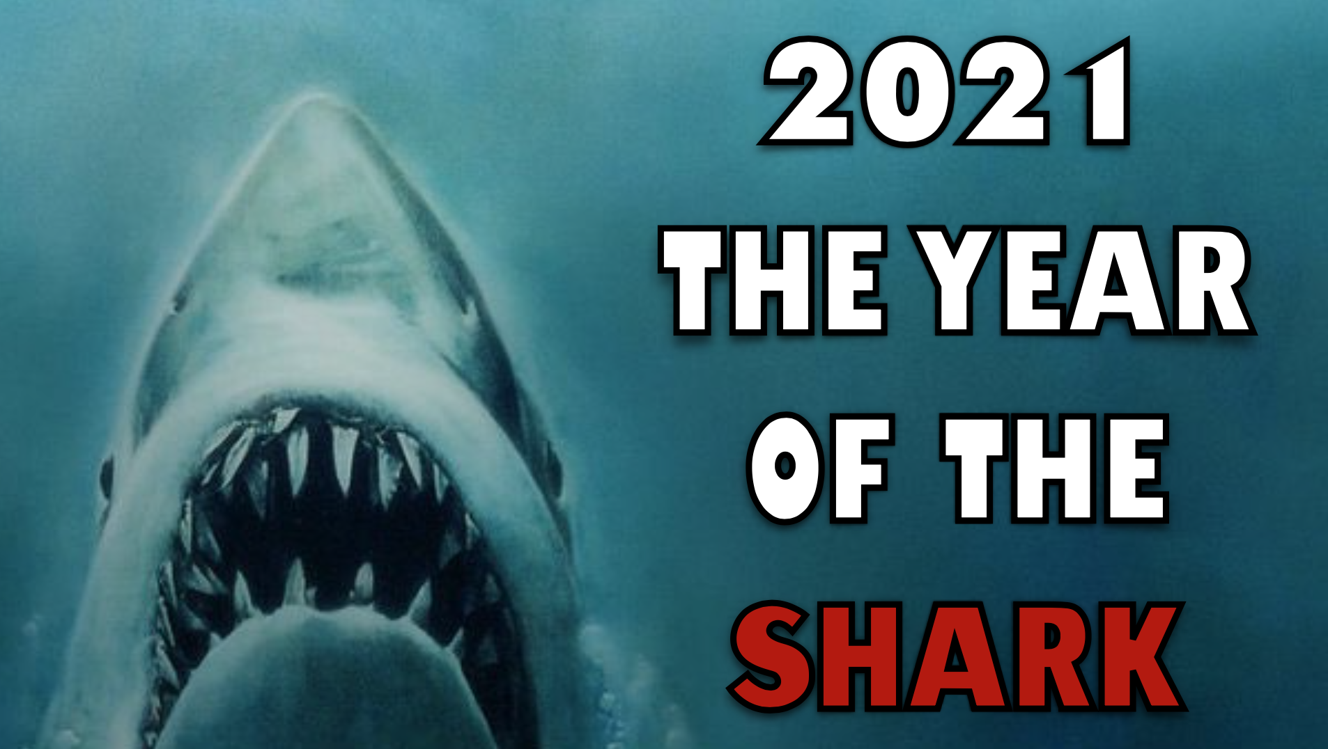 2021: The Year Of The Shark