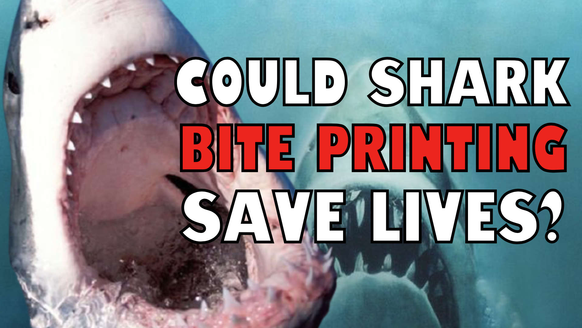 Fingerprinting Shark Bites Could Help Save Lives - On Both Sides