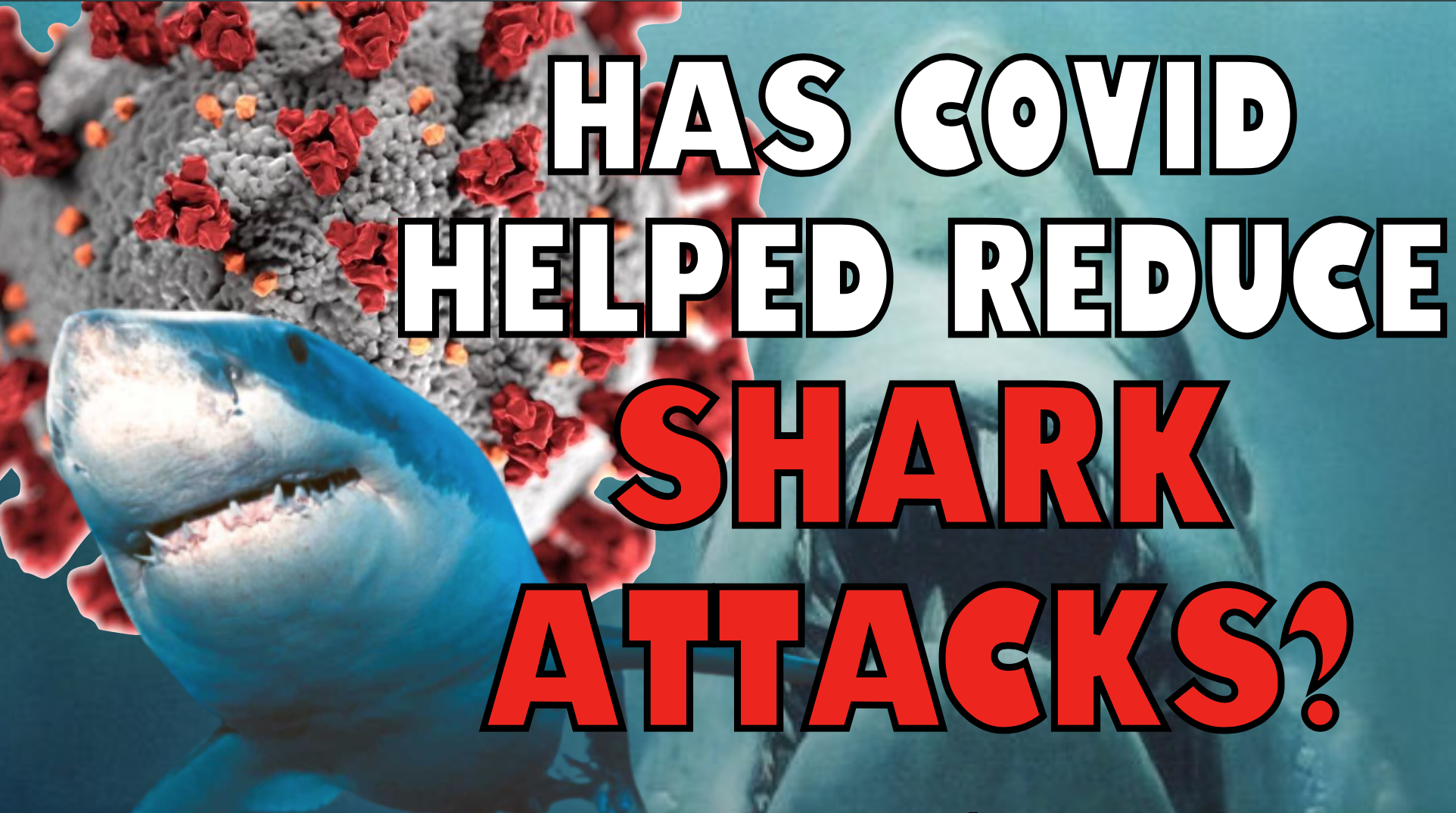 Has Covid Reduced Shark Attacks?