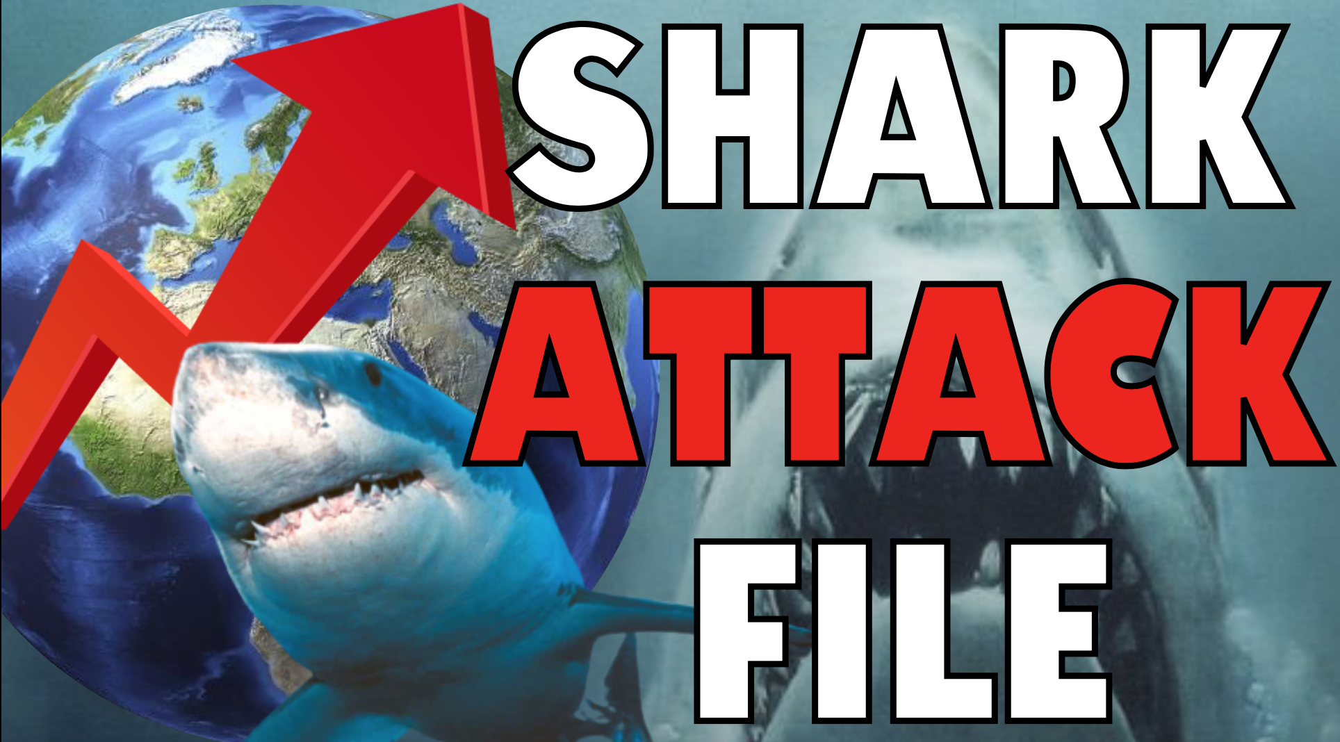 International Shark Attack File 2020 Shows Encounters Down But Fatalities Up
