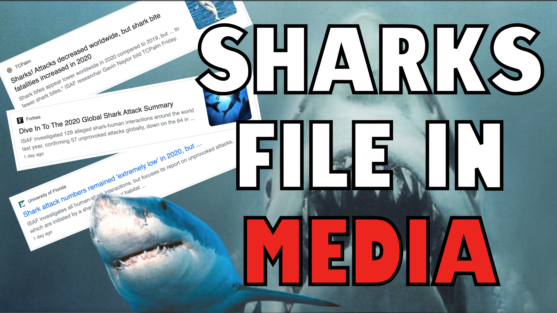 Shark Attack File Results In The Media: Feeding Frenzy or Measured Response?