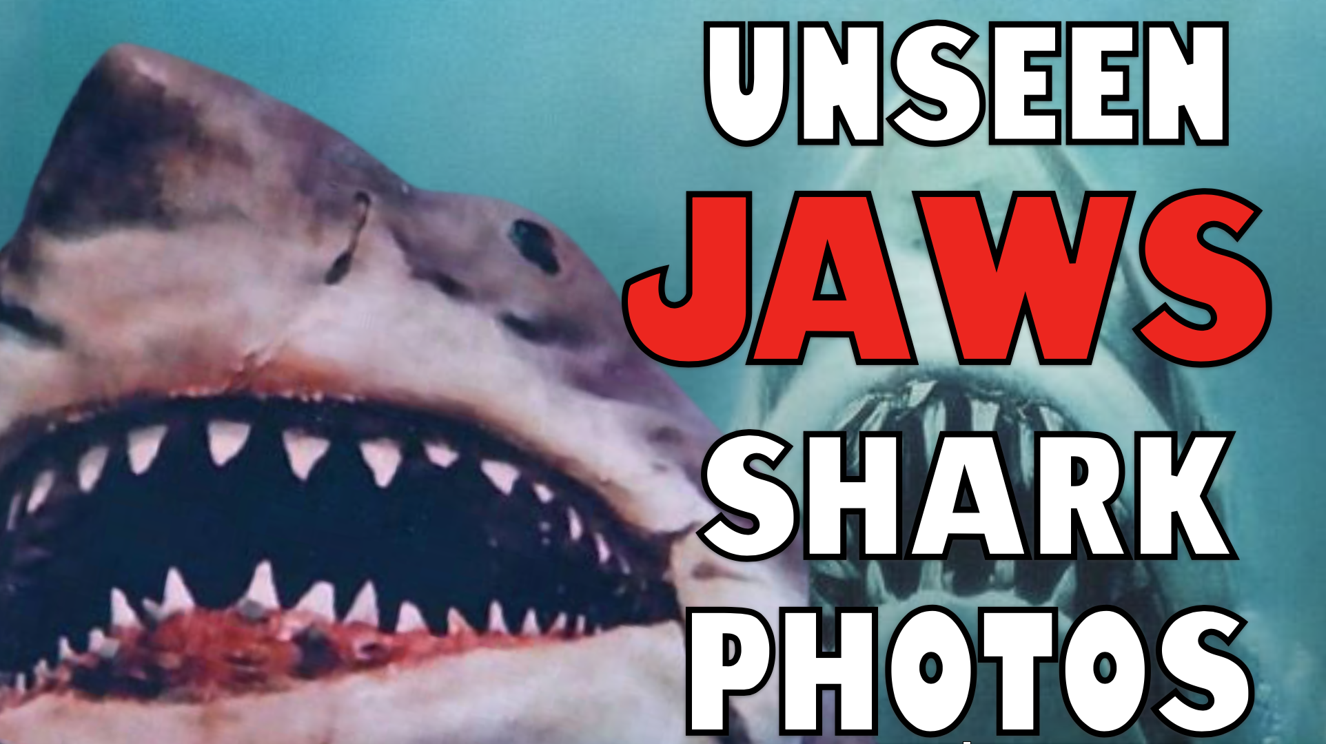 RARE AND UNSEEN PHOTOS OF THE SHARK FROM JAWS