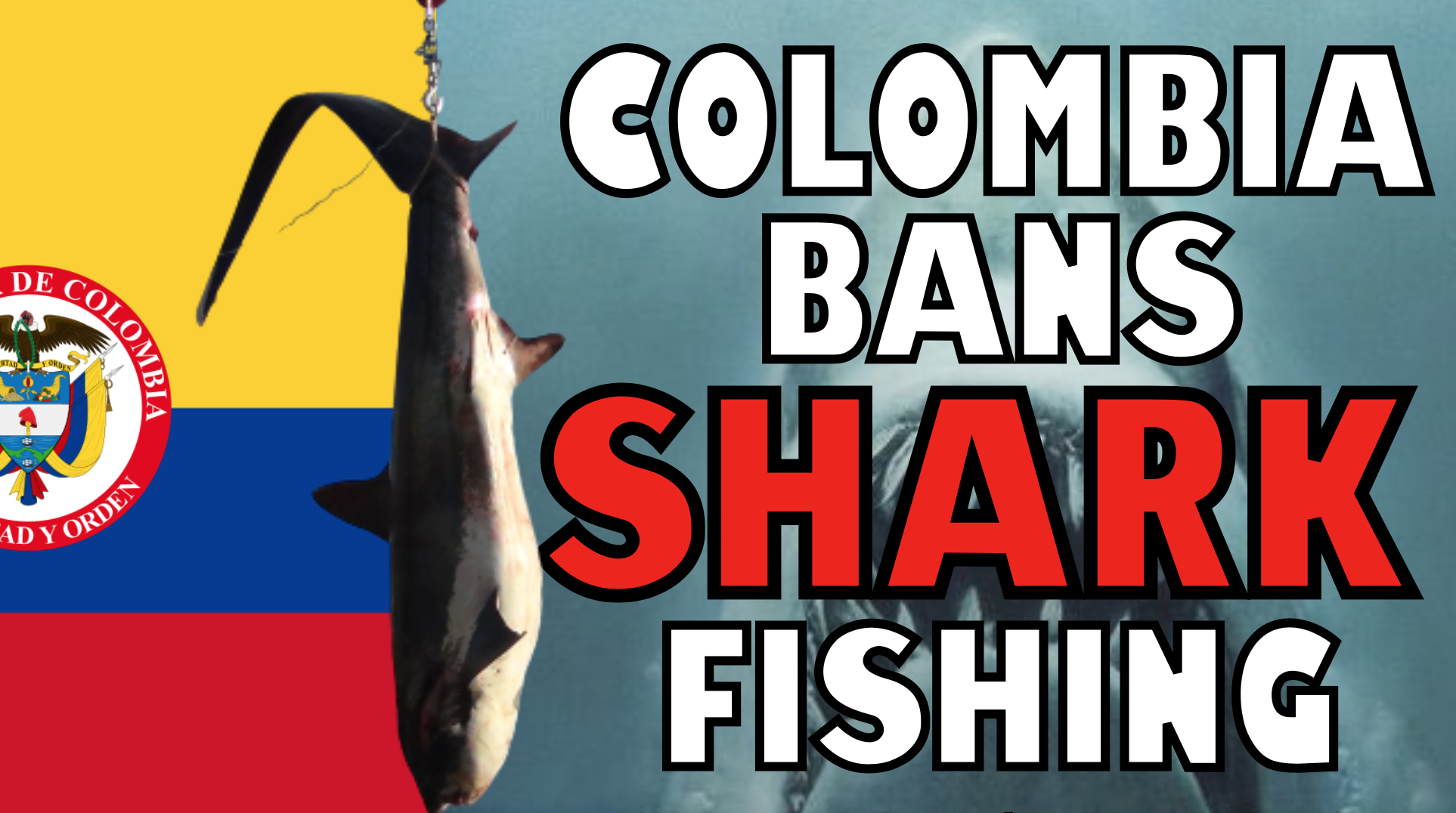 Colombia Bans Shark Fishing