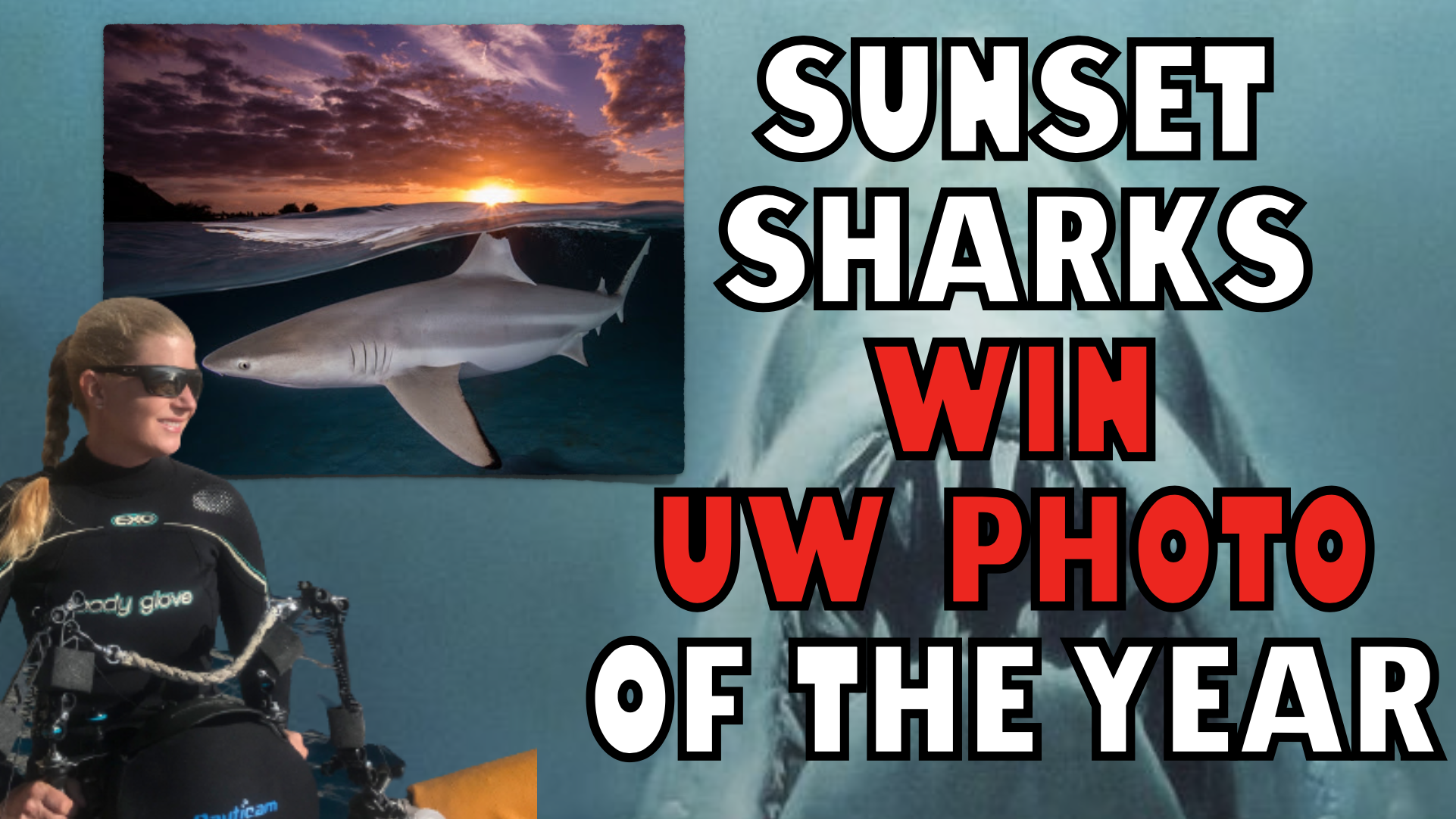 Shark Picture Storms Underwater Photographer Of The Year Competition