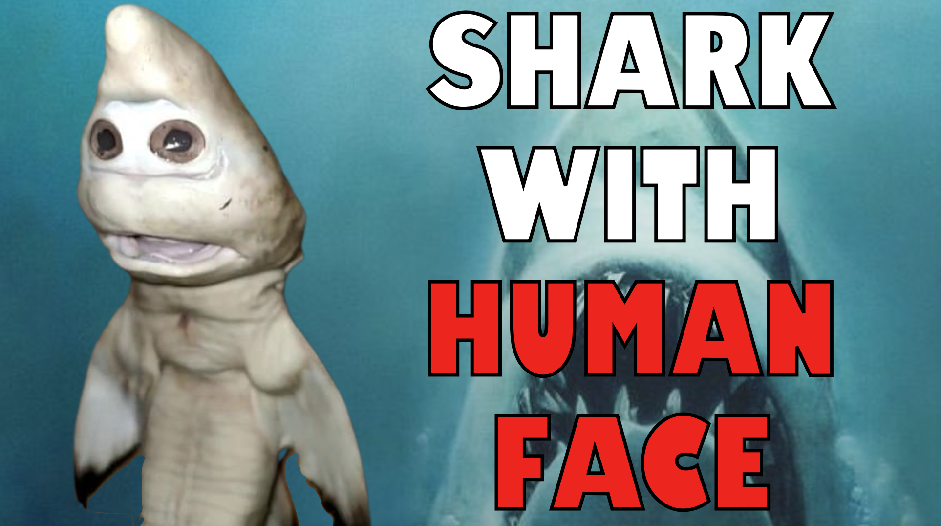 Human-Faced Shark Stuns Fisherman