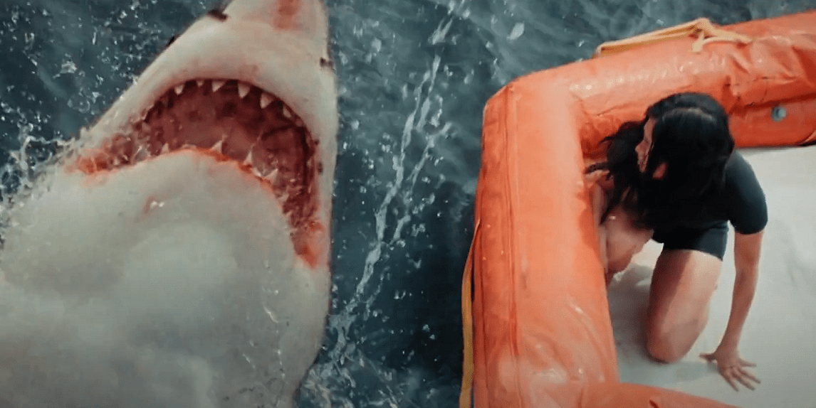 Great White Shark Film Set To Surface On DVD