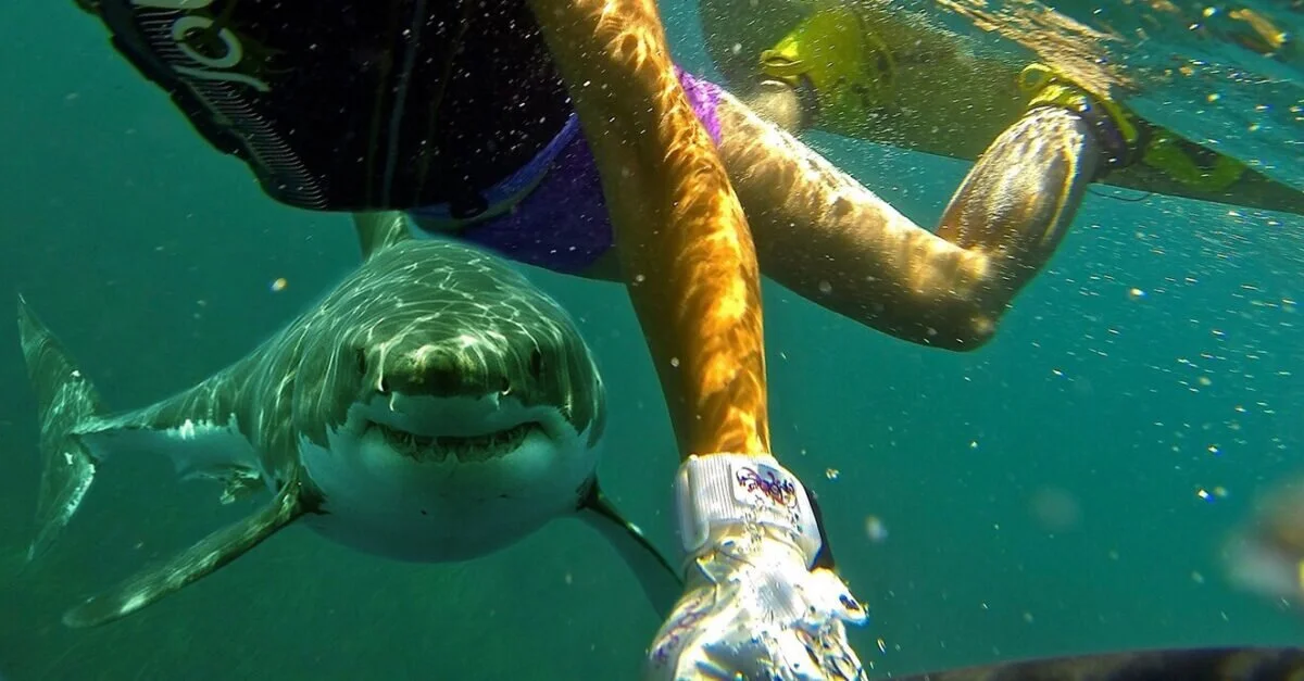 How To Stay Shark Safe