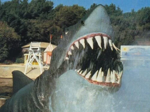 When Jaws First Surfaced On The Universal Backlot Studio Tour