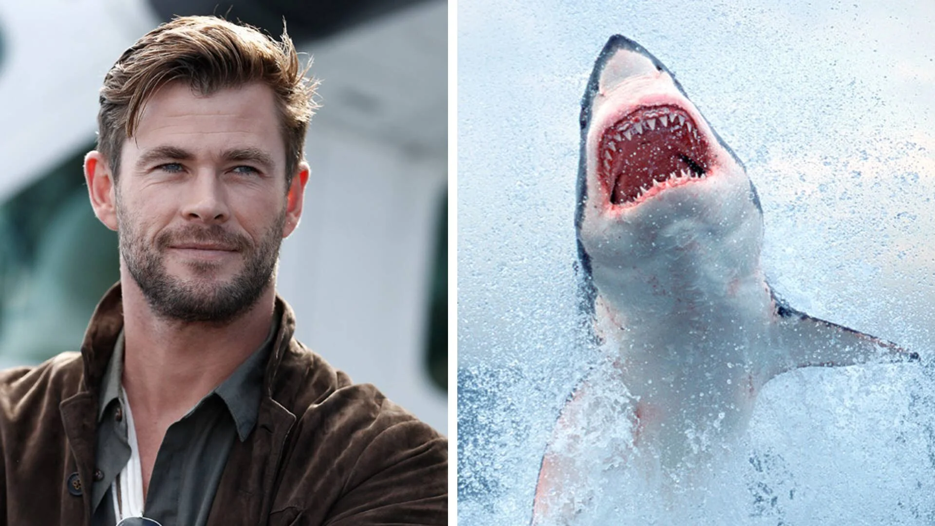 JAWS THOR: Chris Hemsworth To Dive With Sharks For SharkFest