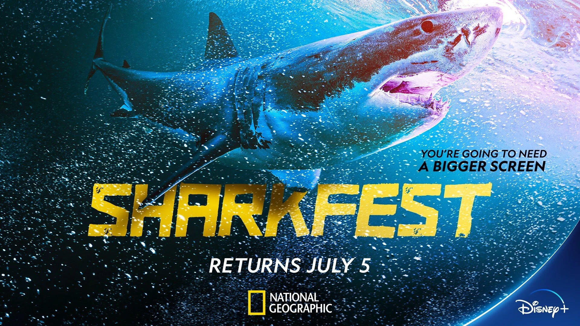 NAT GEO'S SHARKFEST STARTS TOMORROW! (SCHEDULE)