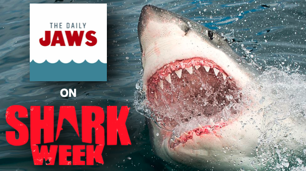 THE DAILY JAWS MAKES SHARK WEEK DEBUT