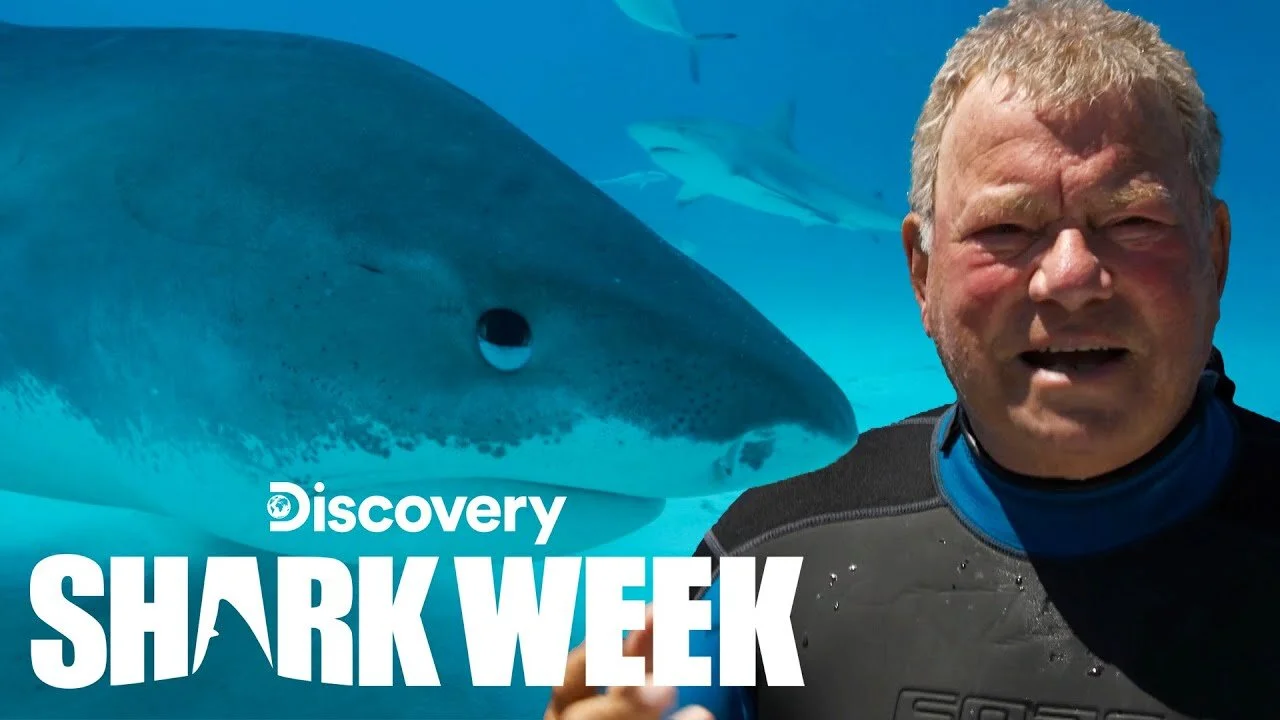 CAPTAIN KIRK BEAMS DOWN FOR VERY OWN SHARK TREK