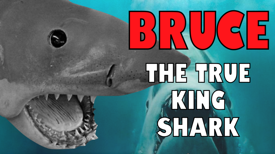 BRUCE... THE TRUE KING SHARK