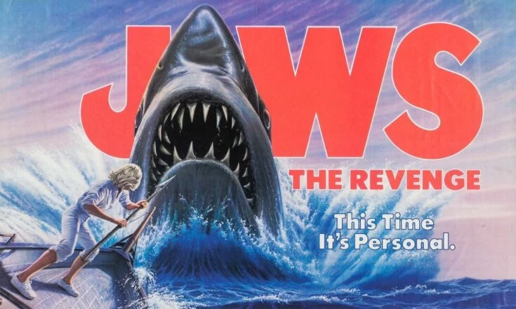 AUTHOR ANDREW MCNESS ON 'JAWS THE REVENGE' BOOK