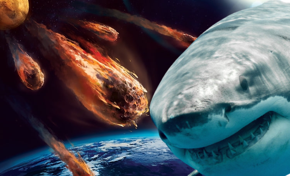 SHARKS NOT IMPACTED BY THE ASTEROID THAT KILLED THE DINOSAURS