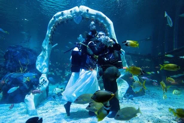 COUPLE GET MARRIED UNDERWATER SURROUNDED BY SHARKS 