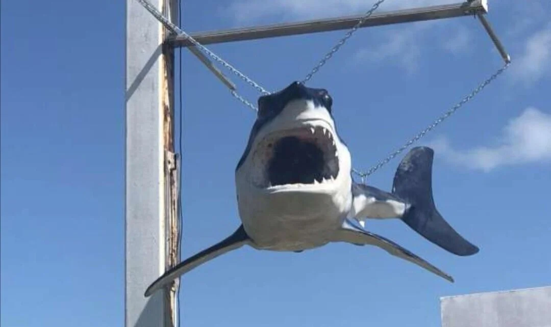 BRUCE THE SHARK TAKES FLIGHT