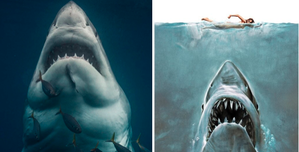 ANOTHER GREAT WHITE SHARK PHOTOGRAPHED IN JAWS POSE 