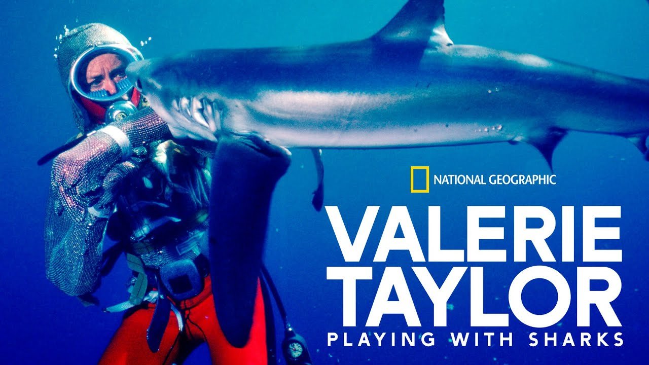 VALERIE TAYLOR DOCUMENTARY WINS BIG AT AACTA