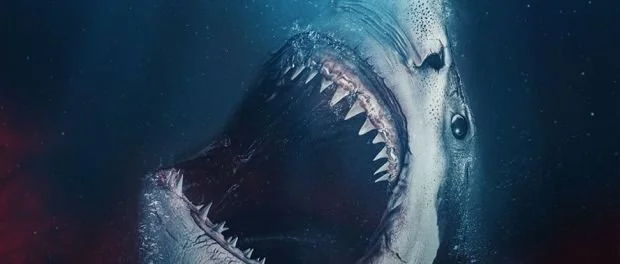 NEW SHARK MOVIE PROMO ECHOES CLASSIC JAWS POSTER 