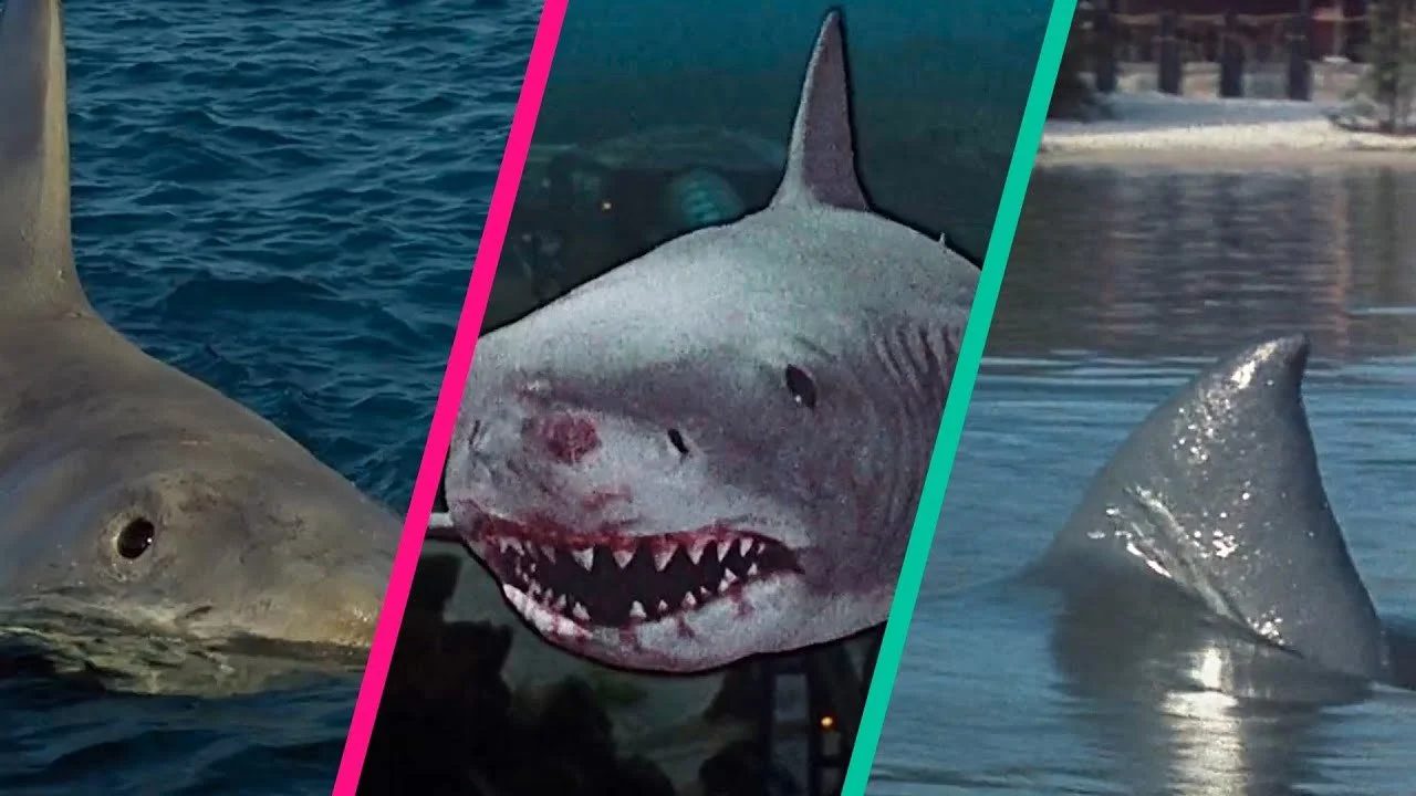 OUR 10 MOST WATCHED JAWS VIDEOS OF 2021