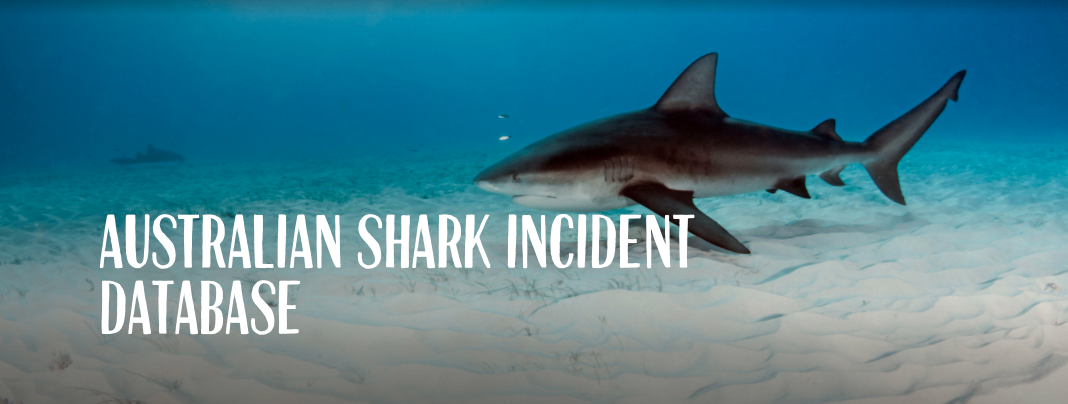 SHARK ATTACK DATABASE REBRANDS SELF TO HELP STOP SHARK STIGMA 