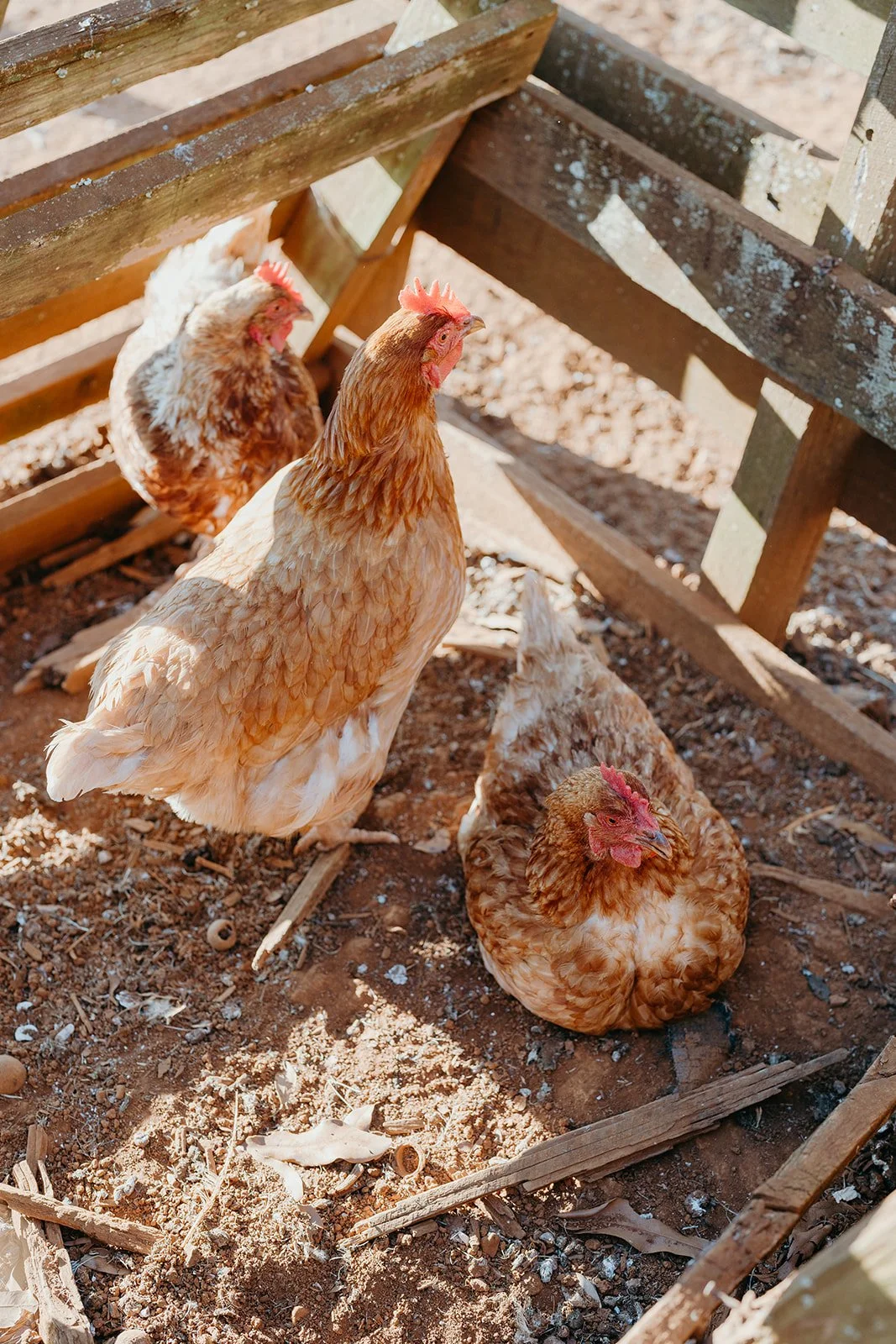 Farm-Co-Jess-Kearney-172.jpg