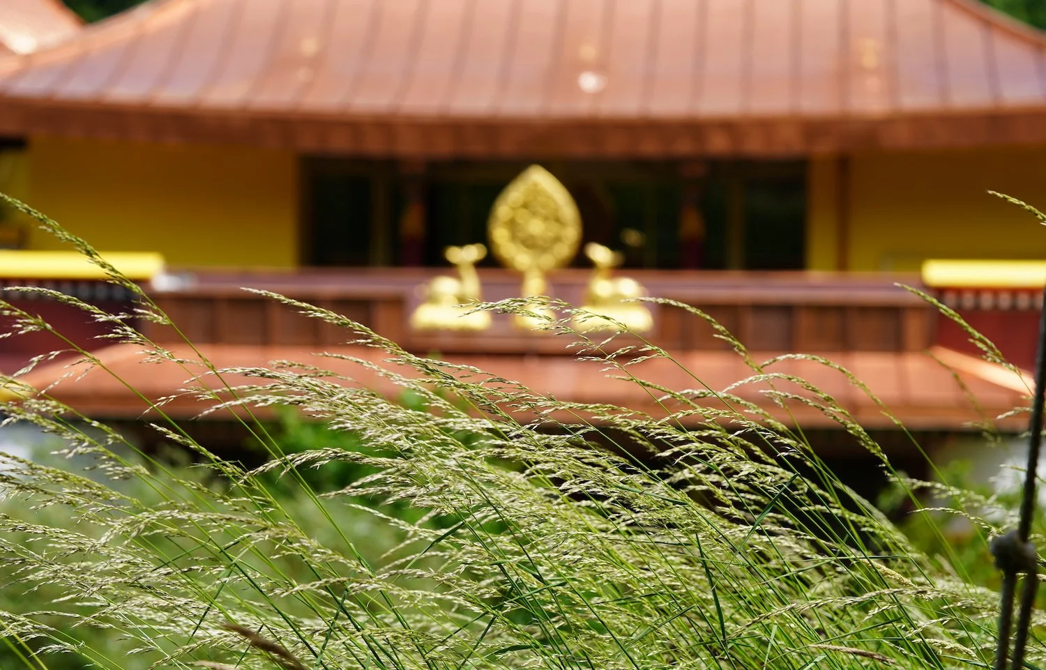 The Experience of the first Forum “Wisdom Working for The Earth”