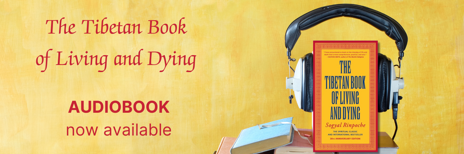 TBLD audiobook 1500x5004.png